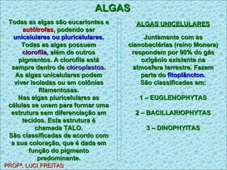 ALGAS Todas as algas são eucariontes e  autótrofas,  podendo ser  unicelulares ou pluricelulares.  Todas as algas possuem  clorofila , além de outros pigmentos. A clorofila está sempre dentro de  cloroplastos. As algas unicelulares podem viver isoladas ou em colônias filamentosas. Nas algas pluricelulares as células se unem para formar uma estrutura sem diferenciação em tecidos. Esta estrutura é chamada TALO. São classificadas de acordo com a sua coloração, que é dada em função do pigmento predominante. ALGAS UNICELULARES Juntamente com as cianobactérias (reino Monera) respondem por 90% do gás oxigênio existente na atmosfera terrestre. Fazem parte do  fitoplâncton. São classificadas em: 1 – EUGLENOPHYTAS 2 – BACILLARIOPHYTAS 3 – DINOPHYITAS PROFª. LUCI FREITAS 
