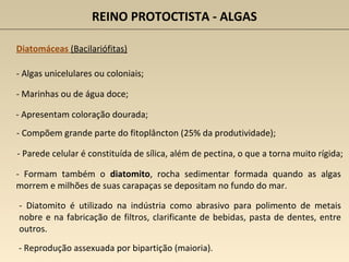 REINO PROTOCTISTA - ALGAS
Diatomáceas (Bacilariófitas)
- Algas unicelulares ou coloniais;
- Marinhas ou de água doce;
- Apresentam coloração dourada;
- Parede celular é constituída de sílica, além de pectina, o que a torna muito rígida;
- Compõem grande parte do fitoplâncton (25% da produtividade);
- Formam também o diatomito, rocha sedimentar formada quando as algas
morrem e milhões de suas carapaças se depositam no fundo do mar.
- Reprodução assexuada por bipartição (maioria).
- Diatomito é utilizado na indústria como abrasivo para polimento de metais
nobre e na fabricação de filtros, clarificante de bebidas, pasta de dentes, entre
outros.
 
