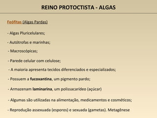 REINO PROTOCTISTA - ALGAS
Feófitas (Algas Pardas)
- Algas Pluricelulares;
- Macroscópicas;
- A maioria apresenta tecidos diferenciados e especializados;
- Autótrofas e marinhas;
- Parede celular com celulose;
- Reprodução assexuada (esporos) e sexuada (gametas). Metagênese
- Possuem a fucoxantina, um pigmento pardo;
- Armazenam laminarina, um polissacarídeo (açúcar)
- Algumas são utilizadas na alimentação, medicamentos e cosméticos;
 