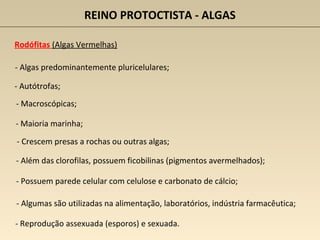 REINO PROTOCTISTA - ALGAS
Rodófitas (Algas Vermelhas)
- Algas predominantemente pluricelulares;
- Macroscópicas;
- Crescem presas a rochas ou outras algas;
- Autótrofas;
- Maioria marinha;
- Reprodução assexuada (esporos) e sexuada.
- Além das clorofilas, possuem ficobilinas (pigmentos avermelhados);
- Possuem parede celular com celulose e carbonato de cálcio;
- Algumas são utilizadas na alimentação, laboratórios, indústria farmacêutica;
 