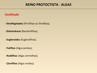 Classificação
- Dinoflagelados (Pirrófitas ou Dinófitas);
REINO PROTOCTISTA - ALGAS
- Diatomáceas (Bacilariófitas);
- Euglenoides (Euglenófitas);
- Feófitas (Algas pardas);
- Rodófitas (Algas vermelhas);
- Clorófitas (Algas verdes);
 