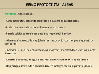 REINO PROTOCTISTA - ALGAS
Clorófitas (Algas Verdes)
- Algas autótrofas, contendo clorofilas a e b, além de carotenoides
- Parede celular com celulose e reserva nutricional é amido;
- Podem ser unicelulares ou multicelulares e coloniais;
- Reprodução assexuada e sexuada. Ocorre metagênese em algumas espécies.
- Acredita-se que tais características mostrem ancestralidade com as plantas
terrestres.
- Maioria é aquática, de água doce; mas existem as marinhas e solo úmido;
- Algumas são mutualísticas (vivem em associação com fungos (líquens), ou
com corais)
 