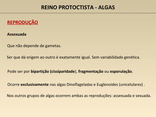 REINO PROTOCTISTA - ALGAS
REPRODUÇÃO
Assexuada
Que não depende de gametas.
Ser que dá origem ao outro é exatamente igual. Sem variabilidade genética.
Ocorre exclusivamente nas algas Dinoflageladas e Euglenoides (unicelulares) .
Nos outros grupos de algas ocorrem ambas as reproduções: assexuada e sexuada.
Pode ser por bipartição (cissiparidade), fragmentação ou esporulação.
 