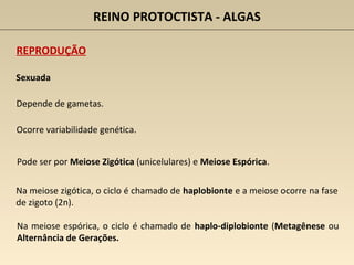 REINO PROTOCTISTA - ALGAS
Sexuada
Depende de gametas.
Ocorre variabilidade genética.
Na meiose zigótica, o ciclo é chamado de haplobionte e a meiose ocorre na fase
de zigoto (2n).
Pode ser por Meiose Zigótica (unicelulares) e Meiose Espórica.
REPRODUÇÃO
Na meiose espórica, o ciclo é chamado de haplo-diplobionte (Metagênese ou
Alternância de Gerações.
 