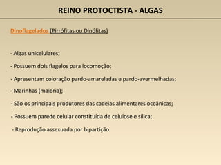 REINO PROTOCTISTA - ALGAS
Dinoflagelados (Pirrófitas ou Dinófitas)
- Algas unicelulares;
- Possuem dois flagelos para locomoção;
- Apresentam coloração pardo-amareladas e pardo-avermelhadas;
- São os principais produtores das cadeias alimentares oceânicas;
- Marinhas (maioria);
- Possuem parede celular constituída de celulose e sílica;
- Reprodução assexuada por bipartição.
 