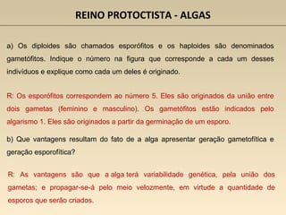 REINO PROTOCTISTA - ALGAS
a) Os diploides são chamados esporófitos e os haploides são denominados
gametófitos. Indique o número na figura que corresponde a cada um desses
indivíduos e explique como cada um deles é originado.
R: Os esporófitos correspondem ao número 5. Eles são originados da união entre
dois gametas (feminino e masculino). Os gametófitos estão indicados pelo
algarismo 1. Eles são originados a partir da germinação de um esporo.
b) Que vantagens resultam do fato de a alga apresentar geração gametofítica e
geração esporofítica?
R: As vantagens são que a alga terá variabilidade genética, pela união dos
gametas; e propagar-se-á pelo meio velozmente, em virtude a quantidade de
esporos que serão criados.
 