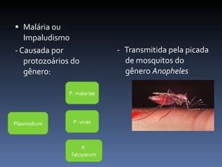 Malária ou Impaludismo - Causada por protozoários do gênero: -  Transmitida pela picada de mosquitos do gênero  Anopheles Plasmodium P. malariae P. vivax P. falciparum 