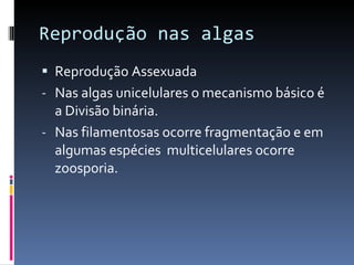 Reprodução nas algas Reprodução Assexuada Nas algas unicelulares o mecanismo básico é a Divisão binária. Nas filamentosas ocorre fragmentação e em algumas espécies  multicelulares ocorre zoosporia. 