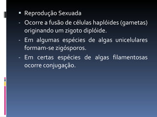 Reprodução Sexuada Ocorre a fusão de células haplóides (gametas) originando um zigoto diplóide. Em algumas espécies de algas unicelulares formam-se zigósporos.  Em certas espécies de algas filamentosas ocorre conjugação. 