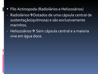 Filo Actinopoda (Radiolários e Heliozoários) Radiolários  Dotados de uma cápsula central de sustentação(quitinosa) e são exclusivamente marinhos. Heliozoários   Sem cápsula central e a maioria vive em água doce. 