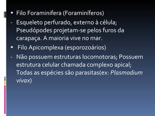Filo Foraminifera (Foraminíferos) Esqueleto perfurado, externo à célula; Pseudópodes projetam-se pelos furos da carapaça. A maioria vive no mar. Filo Apicomplexa (esporozoários) Não possuem estruturas locomotoras; Possuem estrutura celular chamada complexo apical; Todas as espécies são parasitas(ex:  Plasmodium vivax ) 