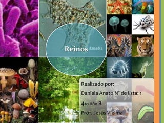 Reinos



    Realizado por:
    Daniela Anato N° de lista: 1
    4to Año B
    Prof. Jesús Vielma
 