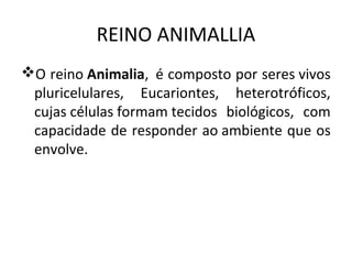 REINO ANIMALLIA
O reino Animalia, é composto por seres vivos
 pluricelulares, Eucariontes, heterotróficos,
 cujas células formam tecidos biológicos, com
 capacidade de responder ao ambiente que os
 envolve.
 