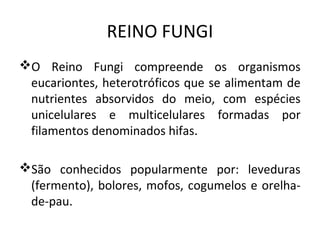 REINO FUNGI
O Reino Fungi compreende os organismos
 eucariontes, heterotróficos que se alimentam de
 nutrientes absorvidos do meio, com espécies
 unicelulares e multicelulares formadas por
 filamentos denominados hifas.

São conhecidos popularmente por: leveduras
 (fermento), bolores, mofos, cogumelos e orelha-
 de-pau.
 