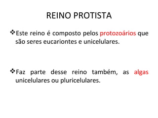 REINO PROTISTA
Este reino é composto pelos protozoários que
 são seres eucariontes e unicelulares.



Faz parte desse reino também, as algas
 unicelulares ou pluricelulares.
 