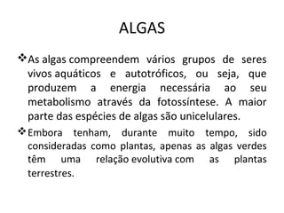 ALGAS
As algas compreendem  vários  grupos  de  seres 
 vivos aquáticos  e  autotróficos,  ou  seja,  que 
 produzem  a  energia  necessária  ao  seu 
 metabolismo  através  da  fotossíntese.  A  maior 
 parte das espécies de algas são unicelulares.
 Embora  tenham,  durante  muito  tempo,  sido 
  consideradas  como  plantas,  apenas  as  algas  verdes 
  têm  uma  relação evolutiva com  as  plantas 
  terrestres.  
 