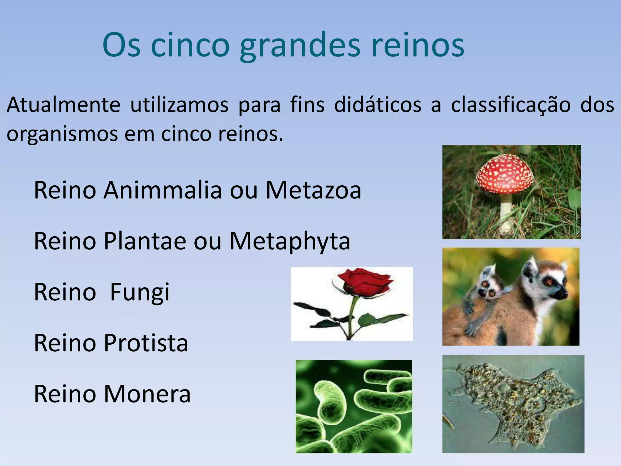 Os cinco Grandes Reinos- classificação dos seres vivos. | PPTX