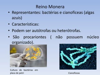 Doença de chagas
 