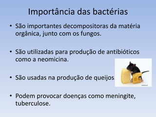 Coração de um portador da doença de chagas
A esquerda, coração normal; a direita, coração deformado pela cardiopatia
chagásica
 