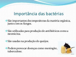 Importância das bactérias
São importantes decompositoras da matéria orgânica,
junto com os fungos.
São utilizadas para produção de antibióticos como a
neomicina.
São usadas na produção de queijos.
Podem provocar doenças como meningite,
tuberculose.
 