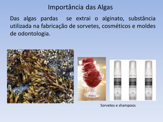 Reino protista ou protoctista
Representantes: algas e protozoários.
Características:
São heterótrofos ( protozoários) ou autótrofos (algas).
 São eucariontes (possuem núcleo organizado).
algas Protozoários: ameba e giárdia
 