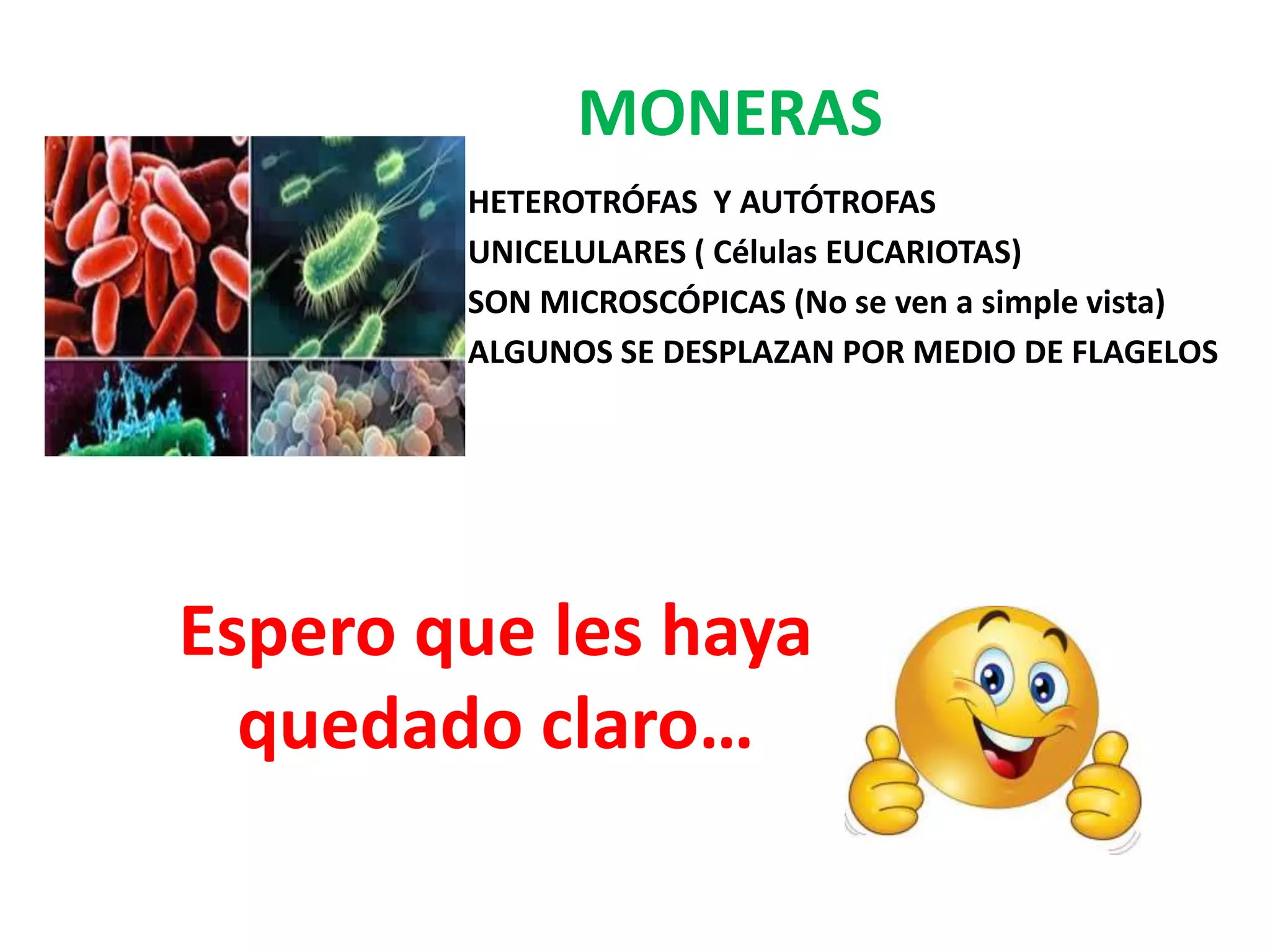 Reinos (Grupos de Organismos) | PPTX