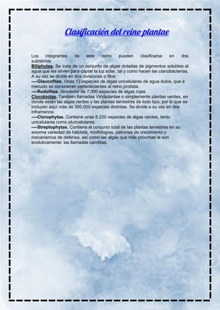 Los integrantes de este reino pueden clasificarse en dos
subreinos:
Biliphytas. Se trata de un conjunto de algas dotadas de pigmentos solubles al
agua que les sirven para captar la luz solar, tal y como hacen las cianobacterias.
A su vez se divide en dos divisiones o filos:
----Glaucofitas. Unas 13 especies de algas unicelulares de agua dulce, que a
menudo se consideran pertenecientes al reino protista.
----Rodofitas. Alrededor de 7.000 especies de algas rojas.
Clorobiotas. También llamadas Viridiplantae o simplemente plantas verdes, en
donde están las algas verdes y las plantas terrestres de todo tipo, por lo que se
incluyen aquí más de 300.000 especies distintas. Se divide a su vez en dos
infrarreinos:
----Clorophytas. Contiene unas 8.200 especies de algas verdes, tanto
unicelulares como pluricelulares.
----Streptophytas. Contiene el conjunto total de las plantas terrestres en su
enorme variedad de hábitats, morfologías, patrones de crecimiento y
mecanismos de defensa, así como las algas que más próximas le son
evolutivamente: las llamadas carofitas.
 