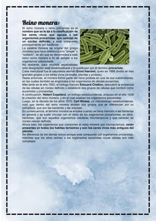 El reino monera o reino procariota es el
nombre que se le da a la clasificación de
los seres vivos que agrupa a los
organismos procariotas, que carecen de
un núcleo definido, y está compuesto
principalmente por bacterias.
La palabra monera se origina del griego
moneres que hace referencia a lo “simple” y
“solitario”, de ahí que se denominara a este
reino como monera a fin de señalar a los
organismos unicelulares.
No obstante, para muchos especialistas
esta designación está desactualizada y lo sustituyen por el término procariota.
Cabe mencionar fue el naturalista alemán Ernst Haeckel, quien en 1866 dividió en tres
grandes grupos a los seres vivos (animalia, plantae y protista).
Hasta entonces, el monera formó parte del reino protista en una de sus subdivisiones,
en las cuales también se englobaba a los organismos de células eucariotas.
Más tarde en el año 1920, el biólogo francés Édouard Chatton, descubrió la existencia
de las células sin núcleo definido y estableció dos grupos de células que nombró como
eucariotas y procariotas.
A continuación, Hebert Copeland, un biólogo estadounidense, propuso en el año 1938
la creación del reino monera, y en el cual estaban los organismos procariotas.
Luego, en la década de los años 1970, Carl Woese, un microbiólogo estadounidense,
notó que dentro del reino monera existen dos grupos que se diferencian por su
estructura, que son las bacterias y las arqueas.
En consecuencia, el término monera se emplea cuando se hace mención a las bacterias
en general y se suele vincular con el clado de los organismos procariontes, es decir,
bacterias, que son aquellos organismos celulares microscópicos y que carecen de
núcleo celular definido.
Ahora bien, los organismos que componen el reino monera son microscópicos, están
presentes en todos los habitas terrestres y son los seres vivos más antiguos del
planeta.
Se diferencia de los demás reinos porque está compuesto por organismos procariotas,
mientras que los otros reúnen a los organismos eucariotas cuyas células son más
complejas.
 