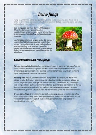 Fungi es un término latino que puede traducirse como hongo. El reino fungi, por lo
tanto, es el reino de los hongos: aquellos seres vivos de tipo eucariota, como las setas,
las levaduras y los mohos.
Está compuesto por más de 144.000 especies
diferentes de hongos que comparten
características fundamentales como la inmovilidad,
la alimentación heterótrofa y ciertas estructuras
celulares.
Los hongos existen a lo largo y ancho del mundo y
en distintos hábitats, apareciendo en distintas
formas y presentaciones: la idea tradicional que
tenemos de ellos es la seta, con capuchón y
cuerpo blanco alargado, pero esa es apenas una
de las numerosas especies conocidas dentro del
reino fungi.
Carecen de movilidad propia. Los hongos crecen en el suelo, en las superficies, o
sobre troncos o materia orgánica en descomposición, dependiendo de sus
preferencias, pero así como las plantas, se mantienen toda su vida en el mismo
lugar, incapaces de moverse a voluntad.
Poseen pared celular. Las células de los hongos son eucariotas, es decir, con
núcleo celular definido, y poseen una pared celular rígida, semejante a la de las
células vegetales, pero en lugar de estar compuesta de celulosa, en los hongos
está compuesta de quitina, la misma sustancia que otorga a los insectos la dureza
de sus exoesqueletos. Además, son células alargadas y que pueden contener
varios núcleos, poseen vacuolas pero no cloroplastos, pues no hacen fotosíntesis.
Crecen como hifas. El crecimiento de los hongos se produce a manera de hifas,
estructuras cilíndricas y uniformes que pueden ir de los pocos micrómetros a los
varios centímetros de longitud, pudiendo superponerse en un proceso de
ramificación o bifurcación.
 
