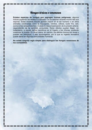 Existen especies de hongos que segregan toxinas peligrosas, algunos
incluso pudiendo ser letales si ingeridos, o si se respiran durante mucho rato sus
esporas. Estas enzimas tóxicas pueden inducir en el ser humano o en otros
animales condiciones como la taquicardia, vómitos, cólicos, sudor frío, sed,
excreciones sanguinolentas o incluso la descompensación de la presión arterial,
dependiendo de la cantidad consumida. Estos efectos pueden llegar, sin
tratamiento, a causar daños necróticos en el hígado y los riñones, pudiendo
ocasionar la muerte. En otros casos, en cambio, los efectos tóxicos son leves y
pueden ser lisérgicos, o sea, alucinógenos, por lo que su ingesta recreativa
puede darse en algunas comunidades humanas.
No existe ninguna regla simple para distinguir los hongos venenosos de
los comestibles.
 