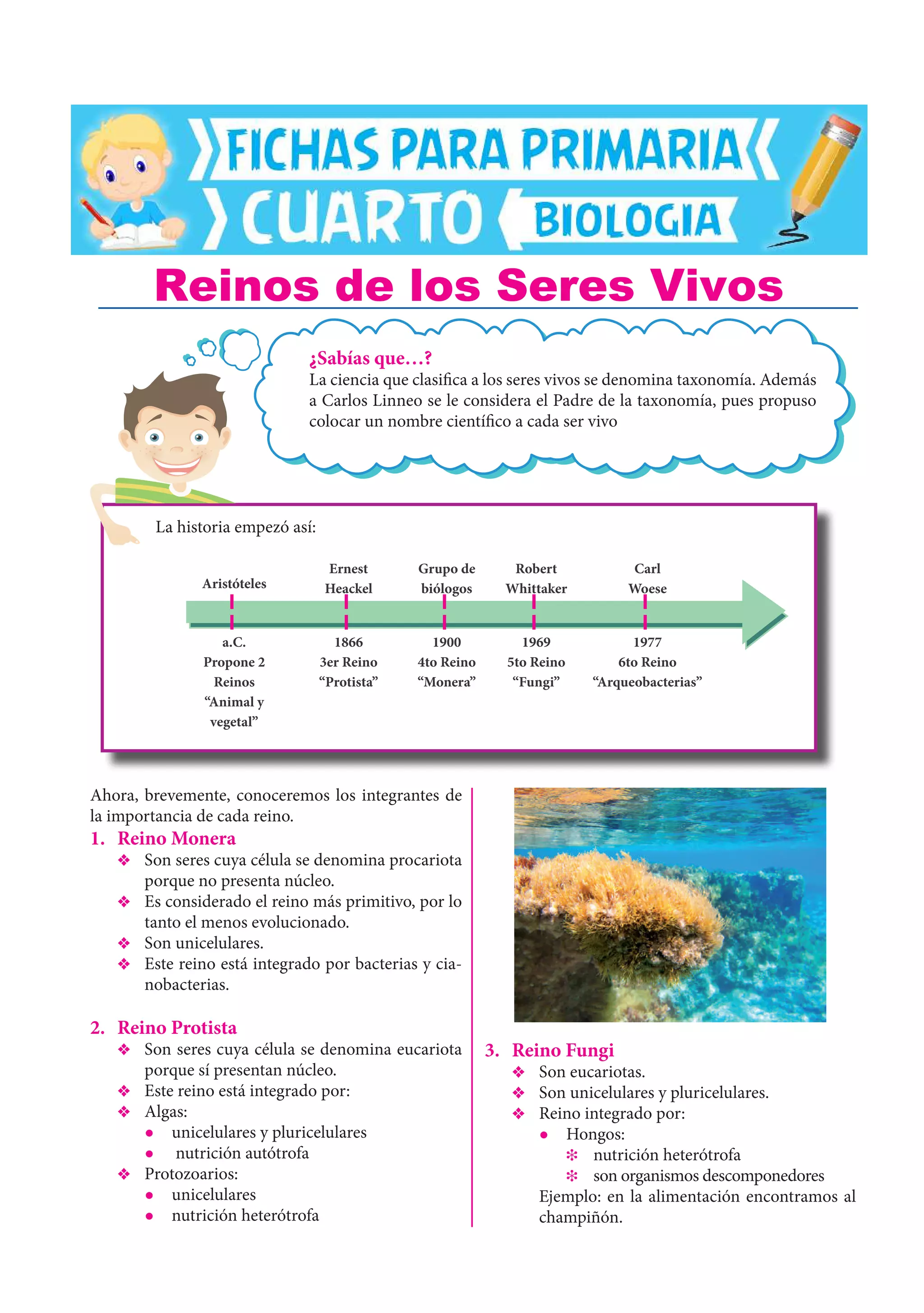 Reinos-de-los-Seres-Vivos-para-Cuarto-de-Primaria.pdf