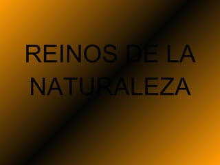 REINOS DE LA NATURALEZA Prof. Andrea Arenas R . 