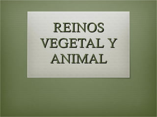REINOS
VEGETAL Y
 ANIMAL
 