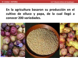 En la agricultura basaron su producción en el
cultivo de olluco y papa, de la cual llegó a
conocer 200 variedades.
VI- Unidad : HISTORIA I.E.P «Nuestra Señora de Guadalupe»
 