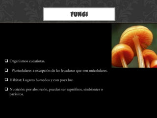 FUNGI
 Organismos eucariotas.
 Pluricelulares a excepción de las levaduras que son unicelulares.
 Hábitat: Lugares húmedos y con poca luz.
 Nutrición: por absorción, pueden ser saprófitos, simbiontes o
parásitos.
 