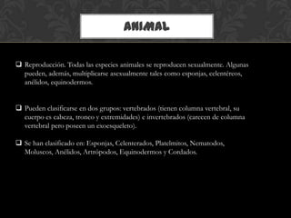 ANIMAL
 Reproducción. Todas las especies animales se reproducen sexualmente. Algunas
pueden, además, multiplicarse asexualmente tales como esponjas, celentéreos,
anélidos, equinodermos.
 Pueden clasificarse en dos grupos: vertebrados (tienen columna vertebral, su
cuerpo es cabeza, tronco y extremidades) e invertebrados (carecen de columna
vertebral pero poseen un exoesqueleto).
 Se han clasificado en: Esponjas, Celenterados, Platelmitos, Nematodos,
Moluscos, Anélidos, Artrópodos, Equinodermos y Cordados.
 