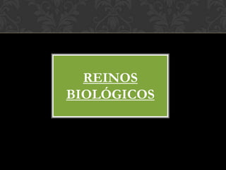 REINOS
BIOLÓGICOS
 