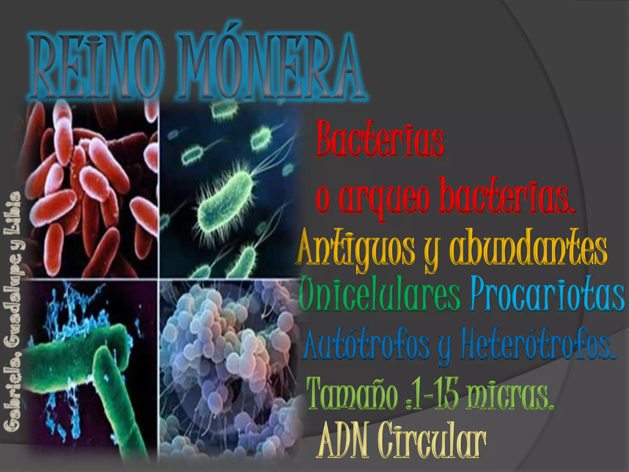 Los 5 reinos y los Tres dominios | PPTX