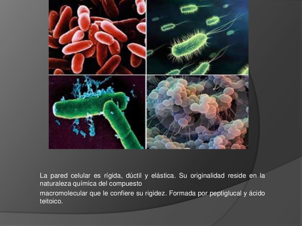 Los 5 reinos y los Tres dominios