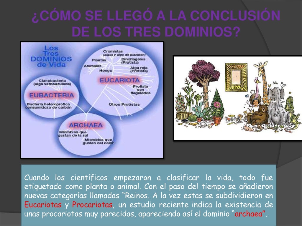 Los 5 reinos y los Tres dominios