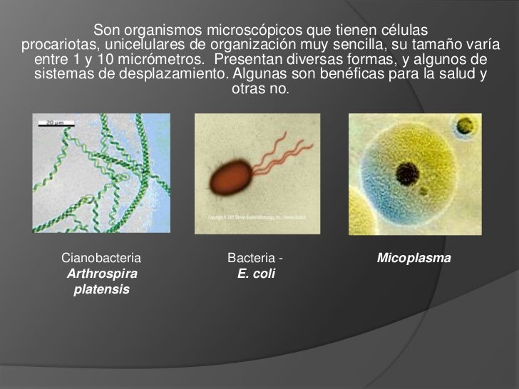 Los 5 reinos y los Tres dominios
