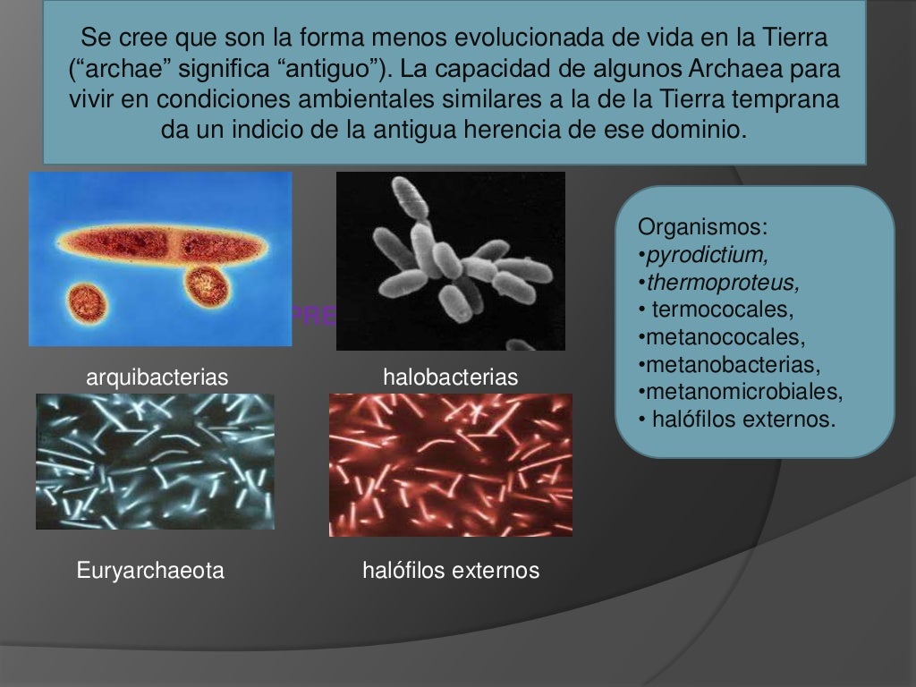Los 5 reinos y los Tres dominios