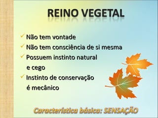 Não tem vontade Não tem consciência de si mesma Possuem instinto natural e cego Instinto de conservação é mecânico 