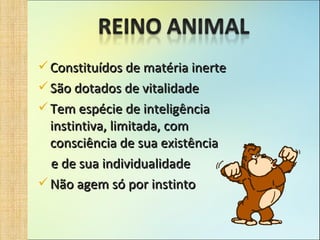 Constituídos de matéria inerte São dotados de vitalidade Tem espécie de inteligência instintiva, limitada, com consciência de sua existência e de sua individualidade Não agem só por instinto 