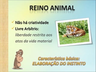 Não há criatividade Livre Arbítrio: liberdade restrita aos atos da vida material 
