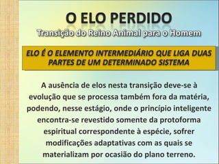 A ausência de elos nesta transição deve-se à evolução que se processa também fora da matéria, podendo, nesse estágio, onde o princípio inteligente encontra-se revestido somente da protoforma espiritual correspondente à espécie, sofrer modificações adaptativas com as quais se materializam por ocasião do plano terreno. 