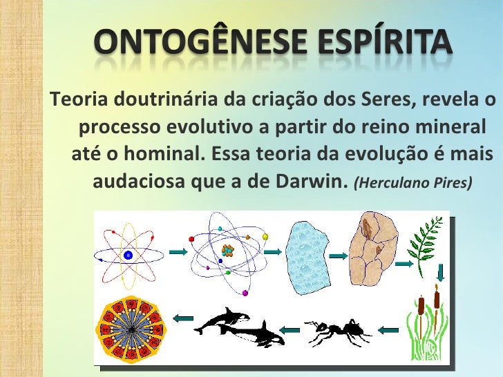 Reinos Da Natureza Reinos Da Natureza