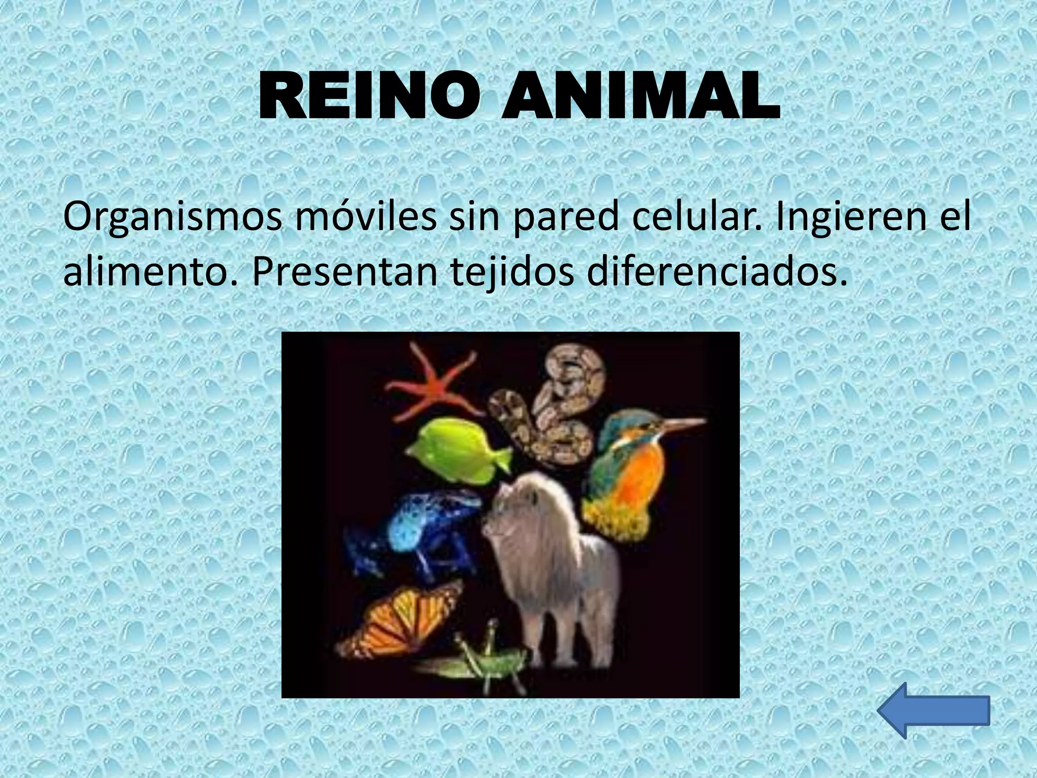 Reinos de la naturaleza | PPTX