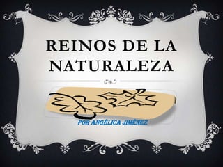 REINOS DE LA
NATURALEZA


  Por Angélica Jiménez
 