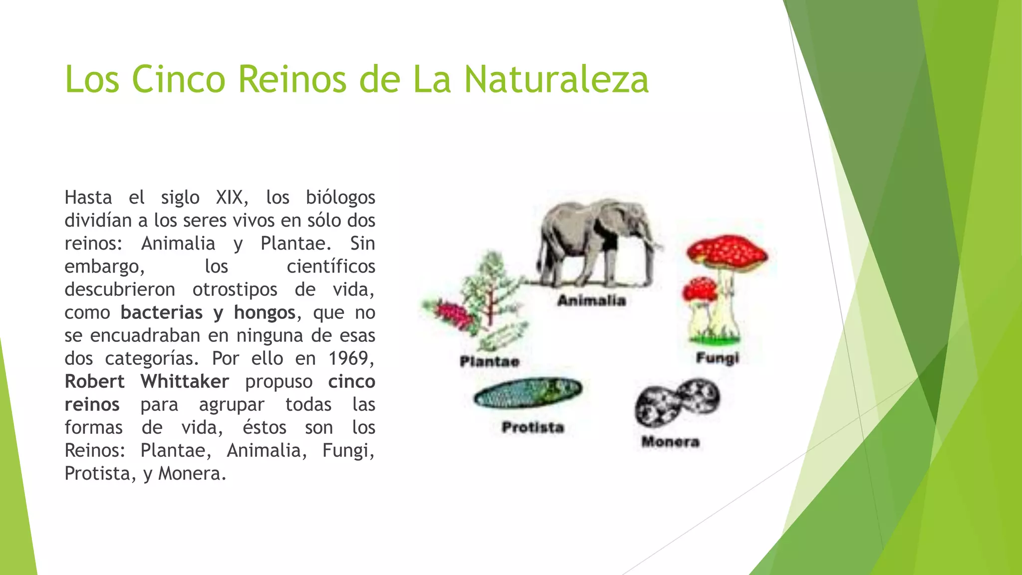 Reinos de la naturaleza | PPTX